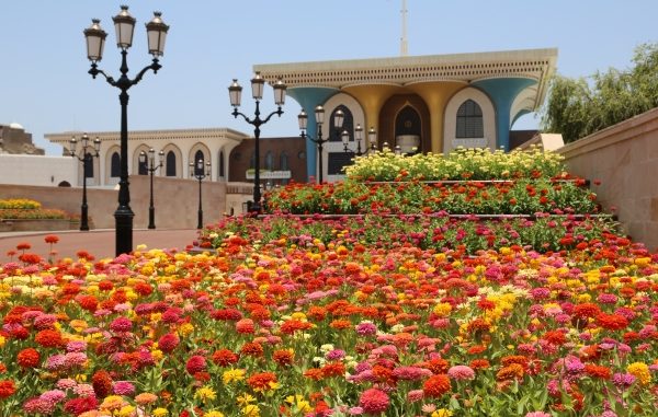 muscat1