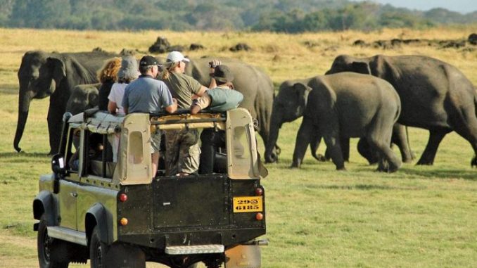 elefantes-en-sri-lanka-safari-por-minneriya-lankaholidays-728x510