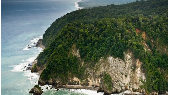 cocos-island-rats-costa-rica