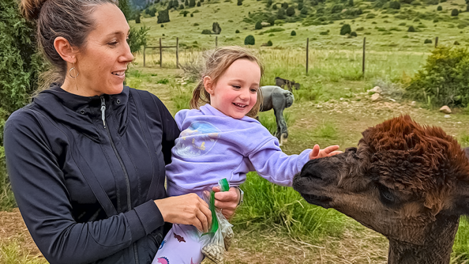 alpaca-travel-tours-5